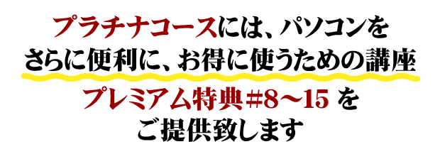 プラチナコースのみの特典